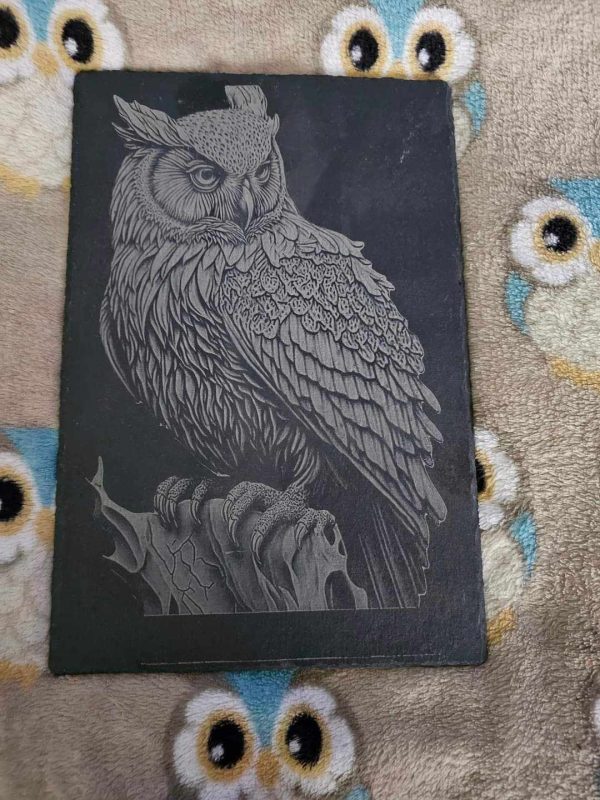 Product Image for  Owl laser engraved slate art